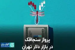 پرواز سنجاقک در بازار دلار تهران
