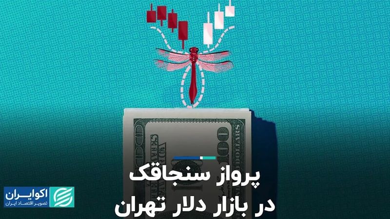 پرواز سنجاقک در بازار دلار تهران