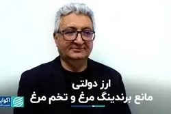 ارز دولتی مانع برندینگ مرغ و تخم مرغ