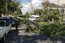 هشدار زرد هواشناسی: تهران در معرض بادهای شدید
