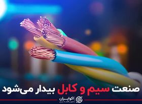 صنعت سیم و کابل بیدار می شود