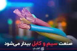 صنعت سیم و کابل بیدار می شود