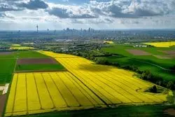 خواب کشت فراسرزمینی در ایران 