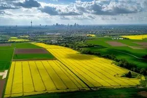 فروکش کردن ریسک جنگ ایران در بازارهای کشاورزی؛ قیمت کود و غلات به مسیر نزولی بازگشت
