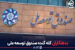 بدهکاران کله گنده صندوق توسعه ملی