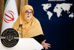 سخنگوی دولت: قصد دخالت در امور داخلی همسایگان خود را نداریم