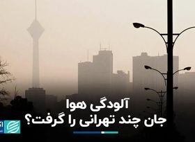 آلودگی هوا جان چند تهرانی را گرفت؟