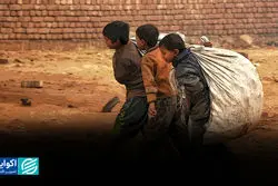 چه تعداد از کودکان در دنیا کار می‌کنند؟