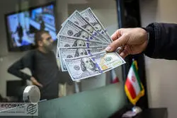 نرخ حقیقی دلار چند است؟