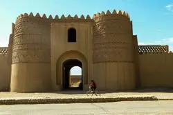 «شفیع‌آباد» چگونه جهانی شد؟/ روایتی از توسعه پایدار در دل کویر ایران 