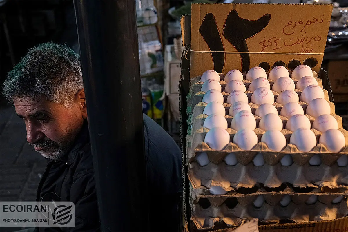 با حذف واسطه‌ها صورت گرفت: ثبات قیمت تخم مرغ تا پایان ماه رمضان