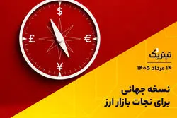 نسخه جهانی برای نجات بازار ارز