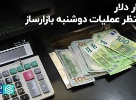 بازار دلار منتظر عملیات دوشنبه بازارساز