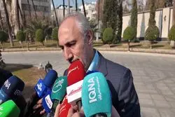 تراستی‌ها؛ قارچ‌های سمی کشور یا بازگردانندگان ارز؟