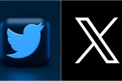 ناپدید شدن پرندۀ توییتر؛ آخرین اقدام جنجال‌برانگیز ایلان ماسک