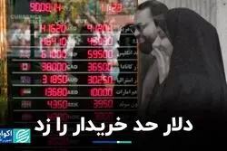 دلار حد خریدار را زد    