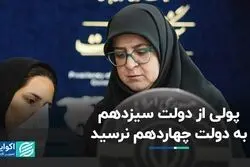 مساله اسب زین‌ شده از زبان سخنگوی دولت