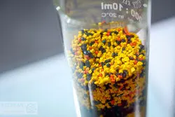 پتروشیمی‌ها گوش به زنگ اخبار رینگ جهانی