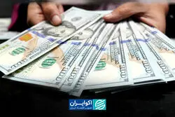 واکنش‌ها به سقف تاریخی دلار