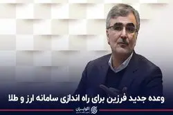 وعده جدید فرزین برای راه اندازی سامانه ارز و طلا