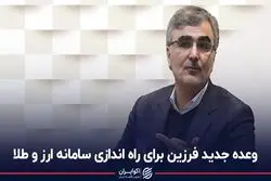 وعده جدید فرزین برای راه اندازی سامانه ارز و طلا