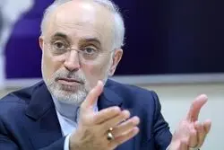 صالحی: بدون اعتماد جهانی هر روز تنهاتر می‌شویم!
