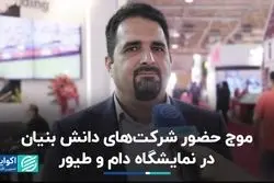 موج حضور شرکت‌های دانش بنیان در نمایشگاه دام و طیور