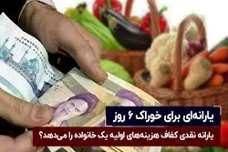 یارانه ‌ای برای خوراک ۶ روز