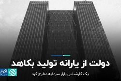 دولت از یارانه تولید بکاهد