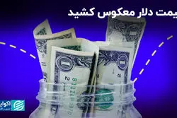 قیمت دلار معکوس کشید
