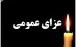 اعلام 2 روز عزای عمومی در کردستان به مناسبت درگذشت فعالان محیط زیست
