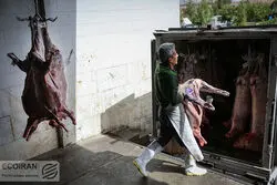 کاهش عرضه گوشت در کشور برای ششمین ماه متوالی