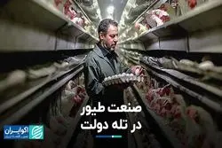 صنعت طیور در تله دولت 