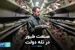 صنعت طیور در تله دولت 