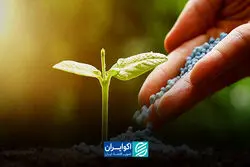 تاثیر اختلال در تجارت کودهای شیمایی بر اقتصاد جهانی