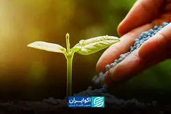 تاثیر اختلال در تجارت کودهای شیمایی بر اقتصاد جهانی