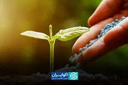 تاثیر اختلال در تجارت کودهای شیمایی بر اقتصاد جهانی