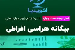 بیگانه هراسی افراطی