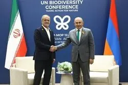 دیدار رئیس‌جمهور ایران با نخست‌وزیر ارمنستان در حاشیه یک اجلاس بین‌المللی