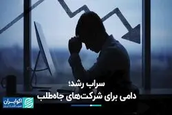 چرا شرکت‌ها در «سراب رشد» گرفتار می‌شوند؟