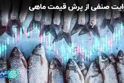  روایت صنفی از پرش قیمت ماهی  