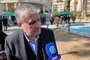 ایران، خود به فردو و نطنز دسترسی دارد؟/ پاسخ رییس سازمان انرژی اتمی