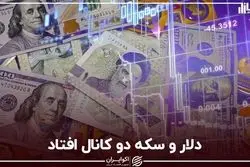 دلار و سکه دو کانال افتاد