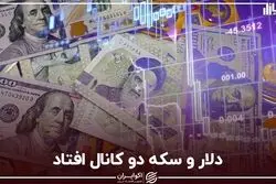 دلار و سکه دو کانال افتاد