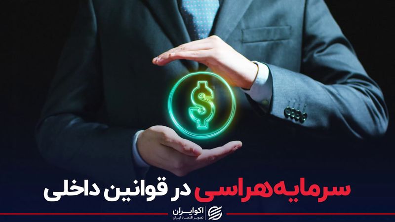 سرمایه‌هراسی در قوانین داخلی