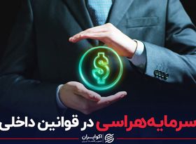 سرمایه‌هراسی در قوانین داخلی