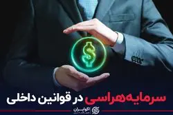 سرمایه‌هراسی در قوانین داخلی