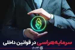 سرمایه‌هراسی در قوانین داخلی