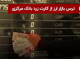 ترس بازار ارز از کارت زرد بانک مرکزی