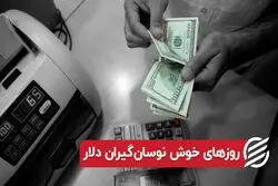 روزهای خوش نوسان گیران دلار